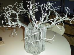 Baobab tree