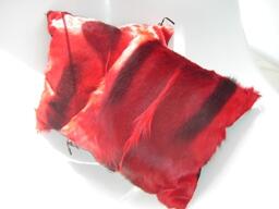 cushion